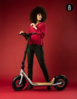 8TEV B12 Classic Electric Scooter Metallic Black -Rollerz Store k205341fbe89faeb9463c359f46186d02