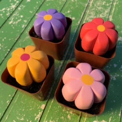 MOXI BRAKE PETAL QUAD ROLLER SKATE TOE STOPS -Rollerz Store kd234738f6d1eabe7c48ef2a39b20a254